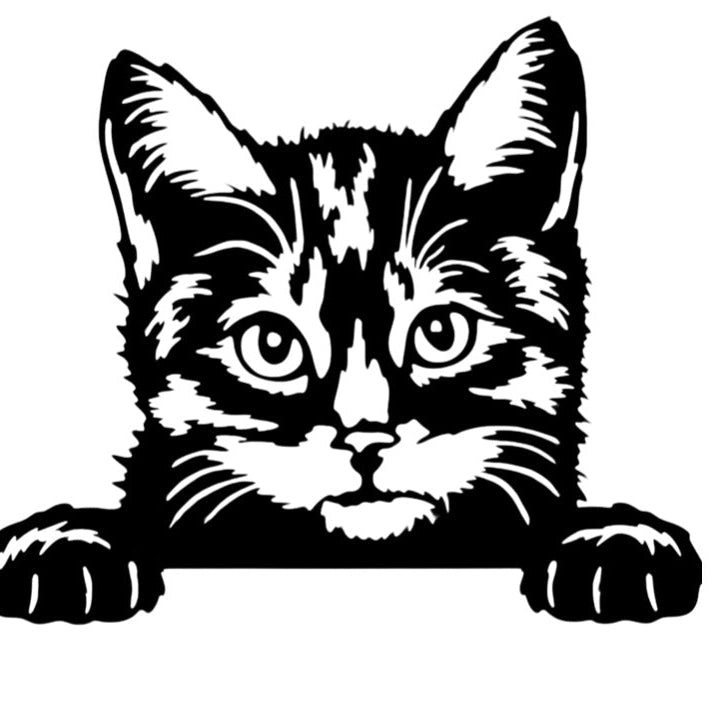 Kat - wanddecoratie